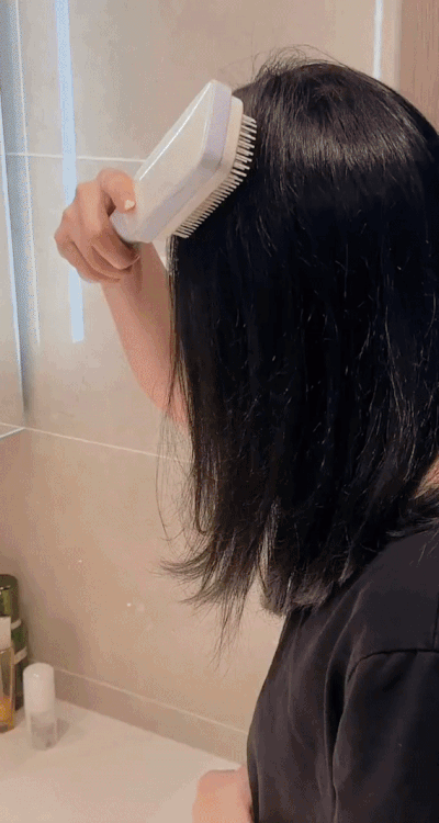 Self Cleaning Hairbrush
